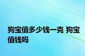 狗宝值多少钱一克 狗宝值钱吗