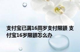 支付宝已满16周岁支付限额 支付宝16岁限额怎么办