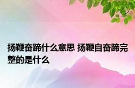 扬鞭奋蹄什么意思 扬鞭自奋蹄完整的是什么