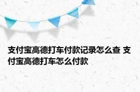 支付宝高德打车付款记录怎么查 支付宝高德打车怎么付款