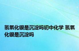 氢氧化银是沉淀吗初中化学 氢氧化银是沉淀吗