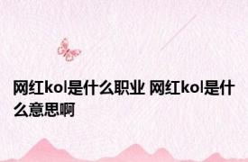 网红kol是什么职业 网红kol是什么意思啊