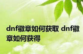 dnf徽章如何获取 dnf徽章如何获得