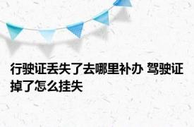 行驶证丢失了去哪里补办 驾驶证掉了怎么挂失