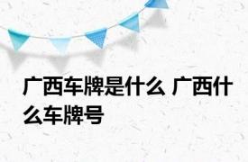 广西车牌是什么 广西什么车牌号