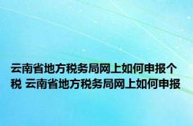 云南省地方税务局网上如何申报个税 云南省地方税务局网上如何申报