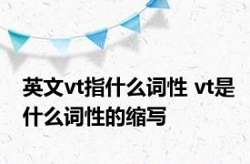 英文vt指什么词性 vt是什么词性的缩写