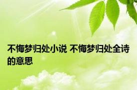 不悔梦归处小说 不悔梦归处全诗的意思