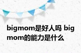 bigmom是好人吗 big mom的能力是什么