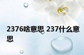 2376啥意思 237什么意思