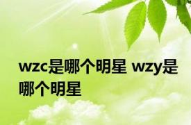 wzc是哪个明星 wzy是哪个明星