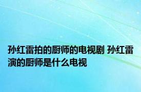 孙红雷拍的厨师的电视剧 孙红雷演的厨师是什么电视