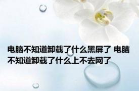 电脑不知道卸载了什么黑屏了 电脑不知道卸载了什么上不去网了