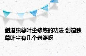 剑道独尊叶尘修炼的功法 剑道独尊叶尘有几个老婆呀