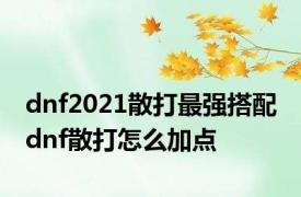 dnf2021散打最强搭配 dnf散打怎么加点 