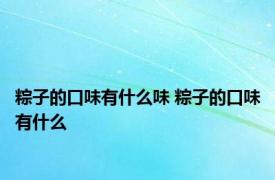 粽子的口味有什么味 粽子的口味有什么