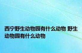 西宁野生动物园有什么动物 野生动物园有什么动物