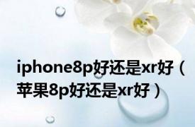 iphone8p好还是xr好（苹果8p好还是xr好）