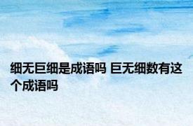 细无巨细是成语吗 巨无细数有这个成语吗