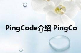 PingCode介绍 PingCo 