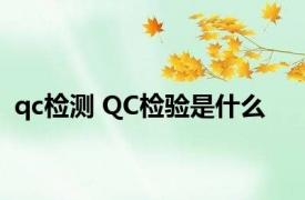 qc检测 QC检验是什么