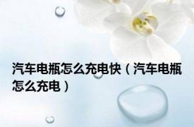 汽车电瓶怎么充电快（汽车电瓶怎么充电）