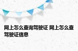 网上怎么查询驾驶证 网上怎么查驾驶证信息