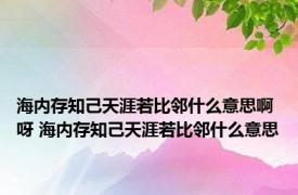 海内存知己天涯若比邻什么意思啊呀 海内存知己天涯若比邻什么意思