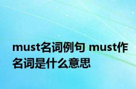 must名词例句 must作名词是什么意思