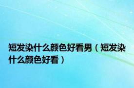 短发染什么颜色好看男（短发染什么颜色好看）