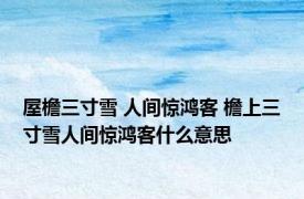 屋檐三寸雪 人间惊鸿客 檐上三寸雪人间惊鸿客什么意思