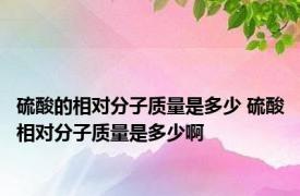 硫酸的相对分子质量是多少 硫酸相对分子质量是多少啊