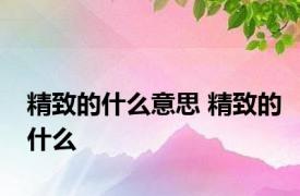 精致的什么意思 精致的什么