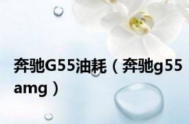 奔驰G55油耗（奔驰g55amg）