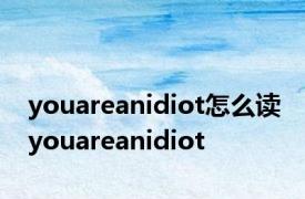 youareanidiot怎么读 youareanidiot 