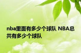 nba里面有多少个球队 NBA总共有多少个球队