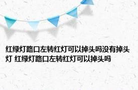 红绿灯路口左转红灯可以掉头吗没有掉头灯 红绿灯路口左转红灯可以掉头吗