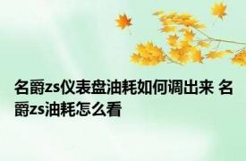 名爵zs仪表盘油耗如何调出来 名爵zs油耗怎么看