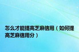 怎么才能提高芝麻信用（如何提高芝麻信用分）