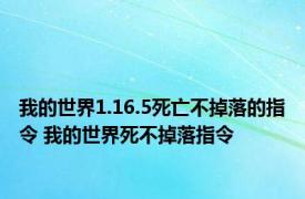 我的世界1.16.5死亡不掉落的指令 我的世界死不掉落指令