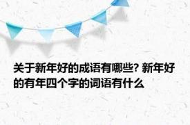 关于新年好的成语有哪些? 新年好的有年四个字的词语有什么