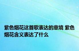 紫色烟花这首歌表达的意境 紫色烟花含义表达了什么