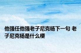 他强任他强老子尼克杨下一句 老子尼克杨是什么梗