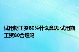 试用期工资80%什么意思 试用期工资80合理吗