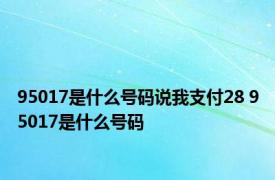 95017是什么号码说我支付28 95017是什么号码