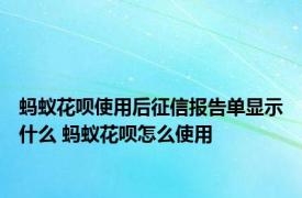 蚂蚁花呗使用后征信报告单显示什么 蚂蚁花呗怎么使用