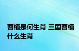 曹植是何生肖 三国曹植什么生肖