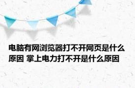 电脑有网浏览器打不开网页是什么原因 掌上电力打不开是什么原因