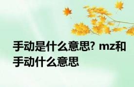 手动是什么意思? mz和手动什么意思