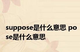 suppose是什么意思 pose是什么意思